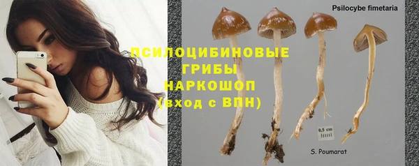 гидропоника Горняк