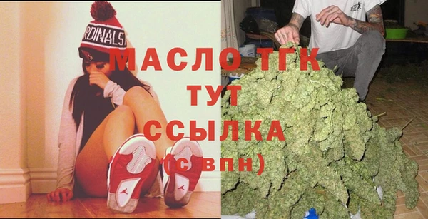 гидропоника Горняк