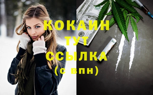 гидропоника Горняк